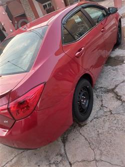 تويوتا كورولا